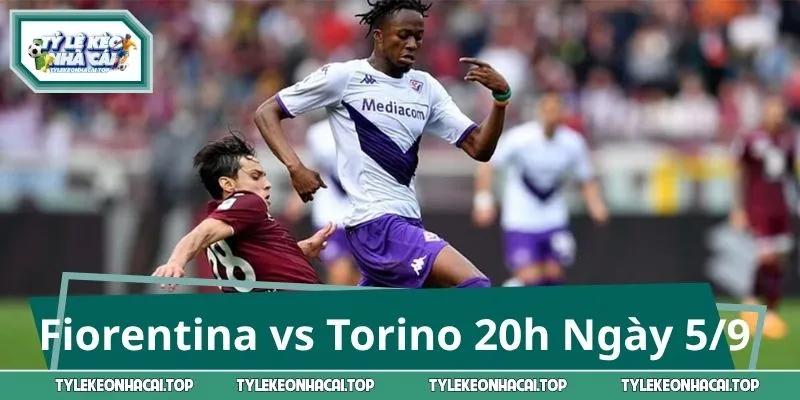 Fiorentina vs Torino: Soi Kèo Trận Đấu 20h Ngày 5/9 Serie A