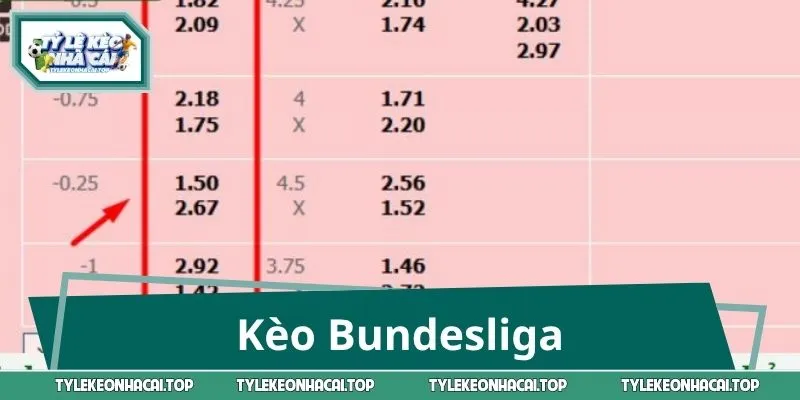 Kèo Bundesliga: Bóc Tách Thế Trận, Chốt Cửa Đầy Uy Lực