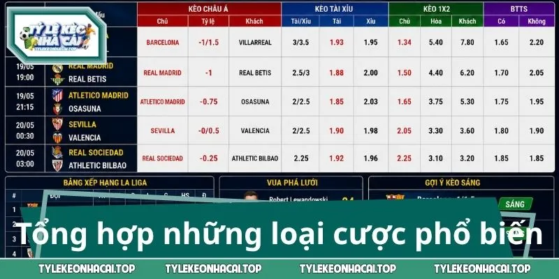 Tổng hợp những loại cược phổ biến